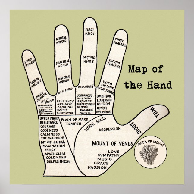 Póster Vintage palm lendo palmistry Map (Frente)