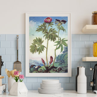Poster Vintage Pastel Watercolor Peony Ilustração