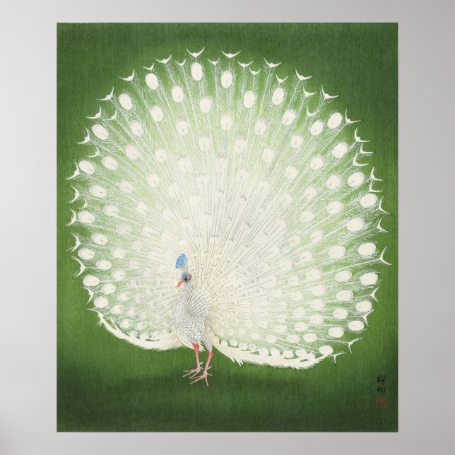 Poster Vintage Peacock (Frente)