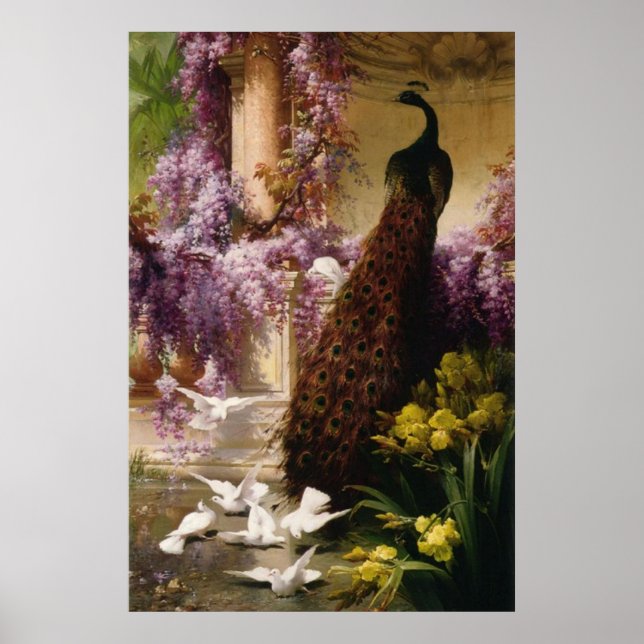 Póster Vintage Peacock (Frente)