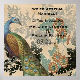 Poster Vintage Peacock