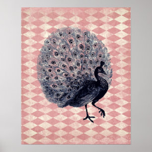 Póster Vintage Peacock em Argyle Rosa
