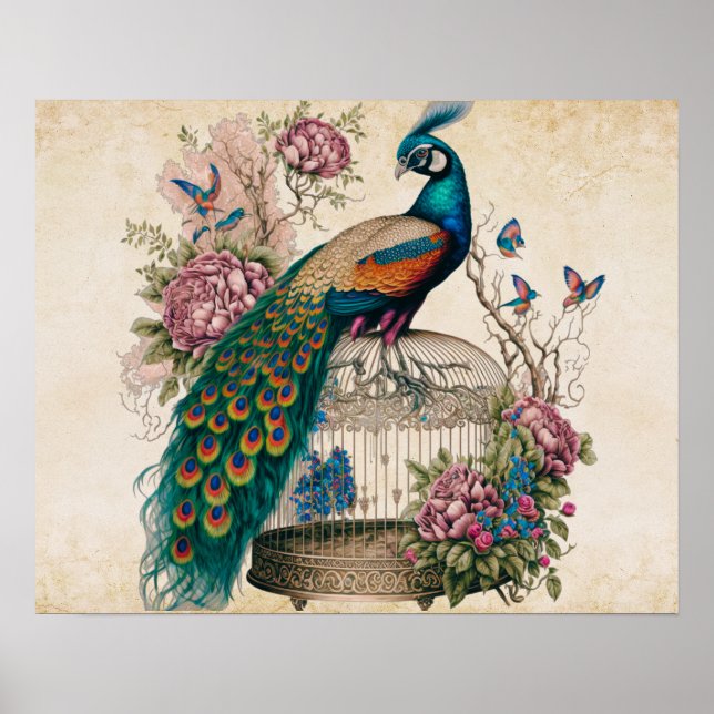 Poster Vintage Peacock na Bird Cage Victorian (Frente)