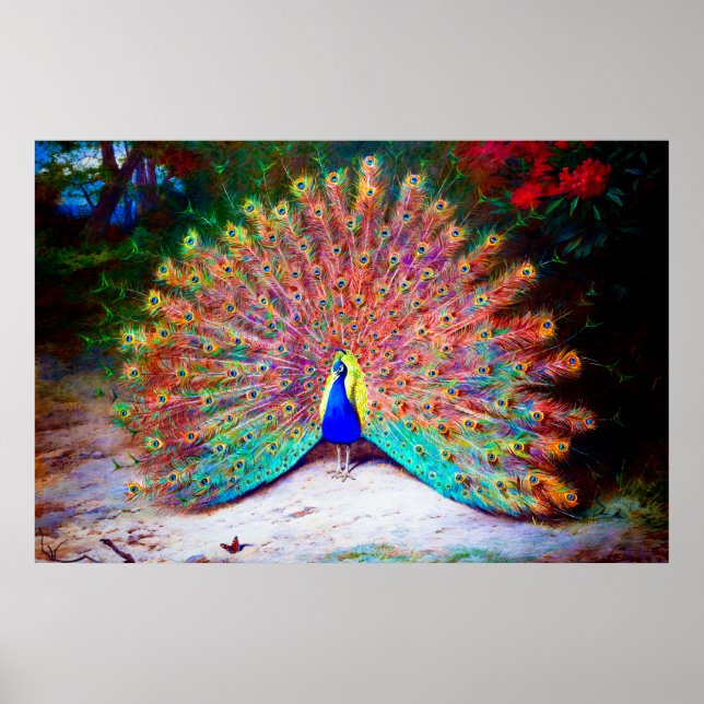 Poster Vintage Peacock Painting (Frente)