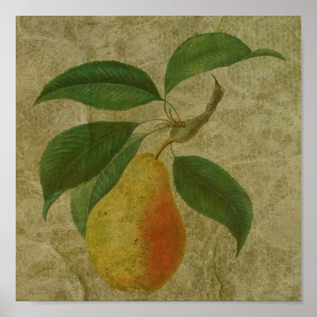 Póster Vintage Pear (Frente)