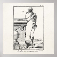 Vintage Pensando no Esqueleto Humano Anatomia Médi