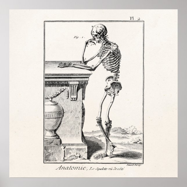 Póster Vintage Pensando no Esqueleto Humano Anatomia Médi (Frente)