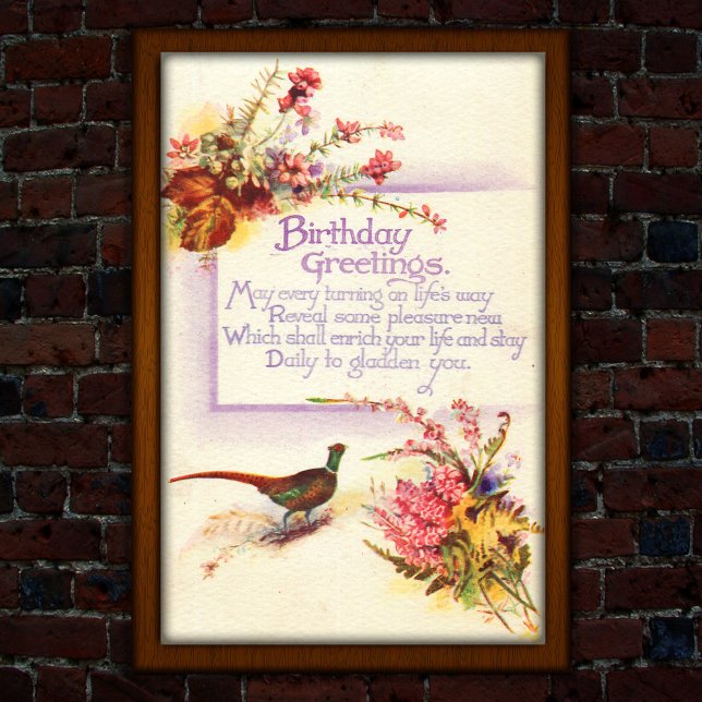 Poster Vintage Pheasant 1917 Heather Aniversário (Criador carregado)