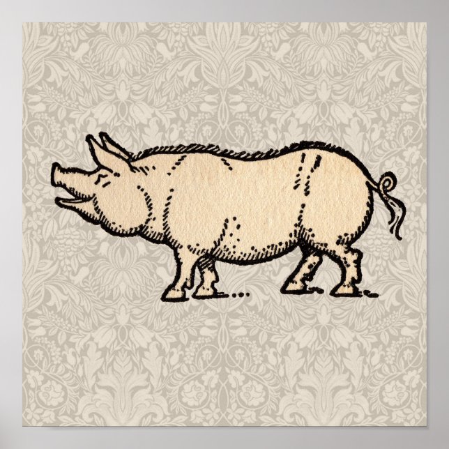 Poster Vintage Piggy Cute (Frente)