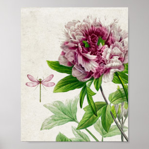 Poster Vintage Pink Rose e Dragonfly Wall Art