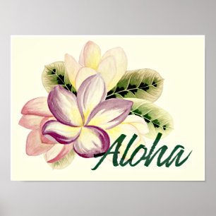 Poster Vintage Plumeria Aloha
