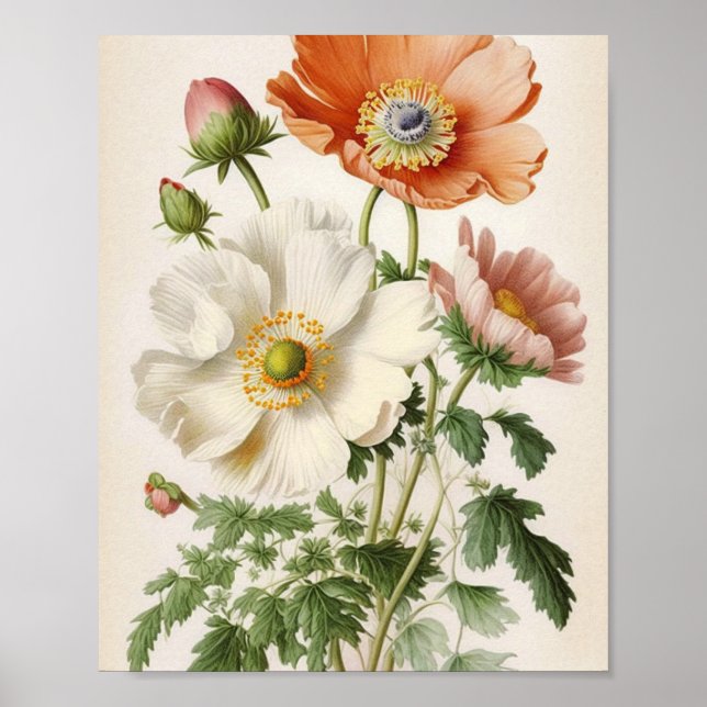 Poster Vintage Poppies (Frente)