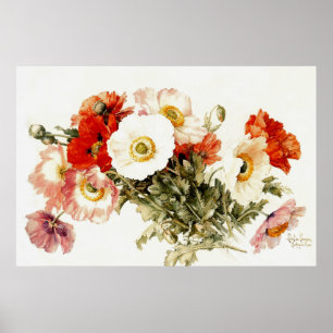Poster Vintage Poppies