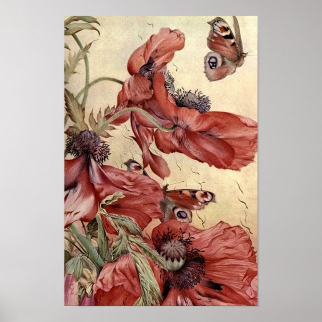 Poster Vintage Poppies e Borboletas (Frente)