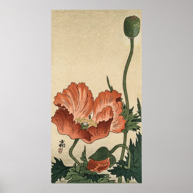 Poster Vintage Poppy Flower por Ohara Koson (Frente)