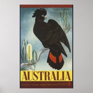 Poster vintage preto do Cockatoo