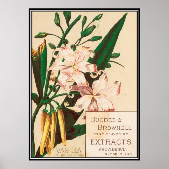 Póster Vintage: publicidade comida - (Frente)