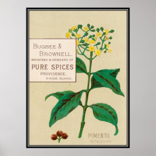 Poster Vintage: publicidade comida -