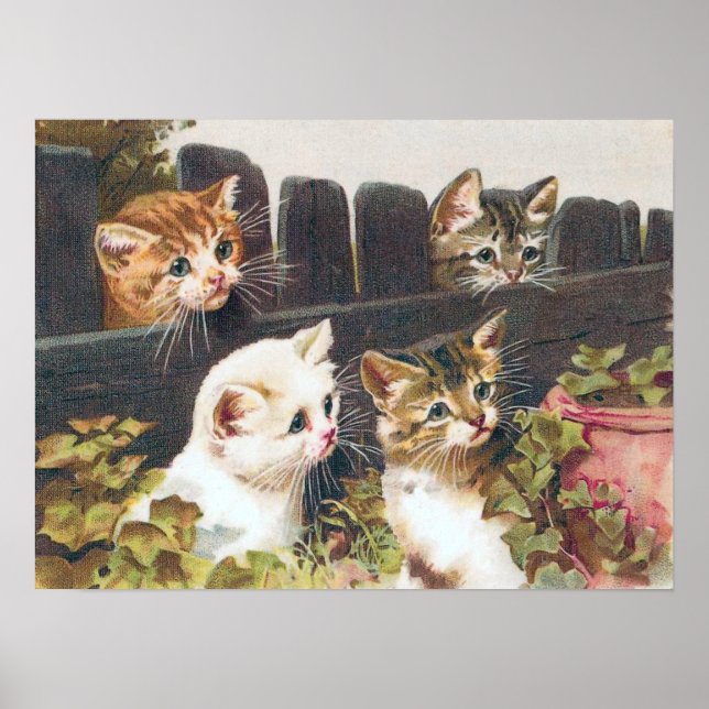 Póster Vintage "Quatro Gatinhos" (Frente)