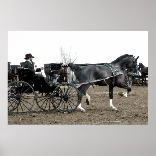 Póster Vintage que conduz o cavalo