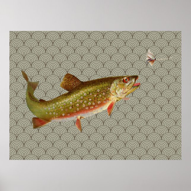 Póster Vintage Rainbow Troubleshoot Fly Fisheries (Frente)