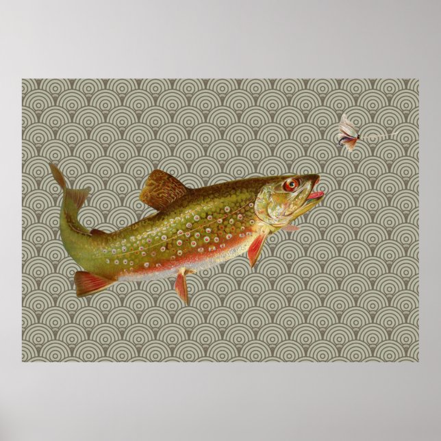 Póster Vintage Rainbow Troubleshoot Fly Fisheries (Frente)