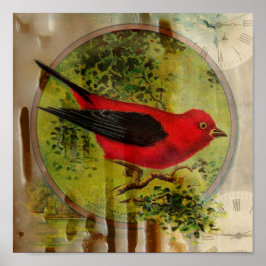 Póster Vintage Red Bird