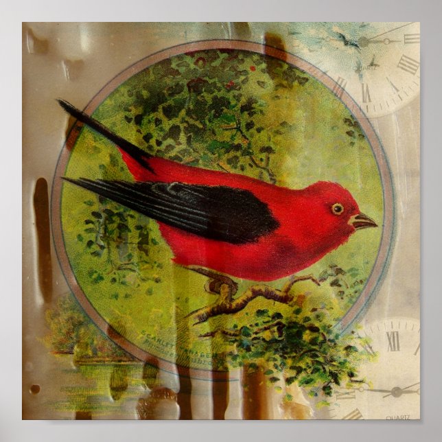 Póster Vintage Red Bird (Frente)