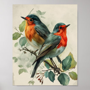Poster Vintage Red-Breast Robin