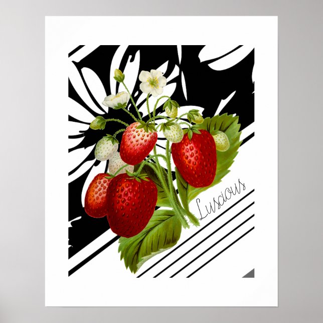 Poster Vintage Red Strawberry Black White Graphic (Frente)
