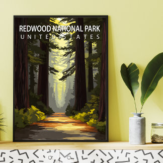 Poster Vintage Redwood National Park – Majestic Forest