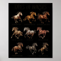Vintage Retro Tipos De Cavalos Cavalos Raça Cavalo