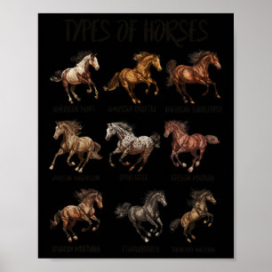 Poster Vintage Retro Tipos De Cavalos Cavalos Raça Cavalo