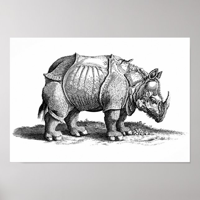 Poster Vintage Rhino - Rinoceronte de Dürer (Frente)