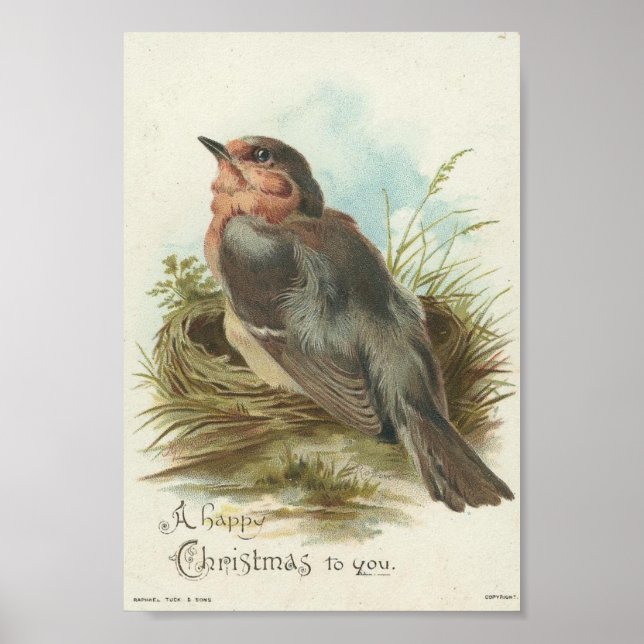 Poster Vintage Robin, Natal (Frente)