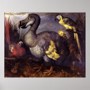 Poster Vintage Roelant Savery Saverys Dodo