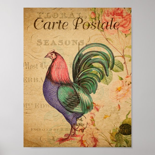 Poster Vintage Rooster (Frente)