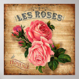 Poster Vintage rosas cor-de-rosa decor do escritório domé