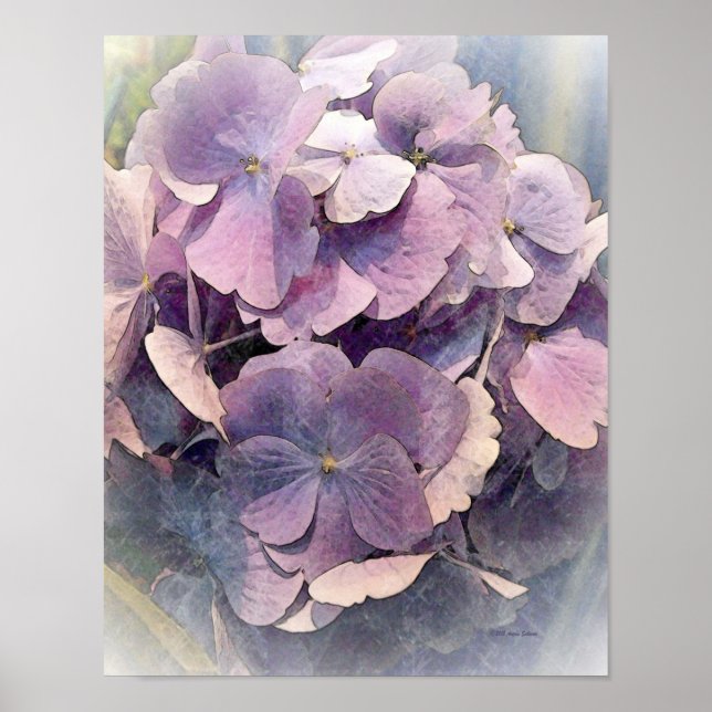 Póster Vintage Roxo HydrangeasFoto Arte (Frente)