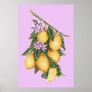 Poster Vintage Rustic Lemons Summer Botanic