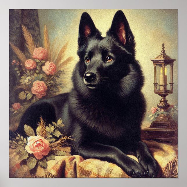 Poster Vintage Schipperke Dog Painting (Frente)