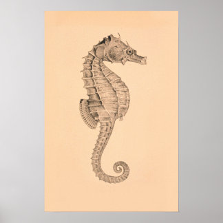 Poster Vintage Sea Horse Diptych I