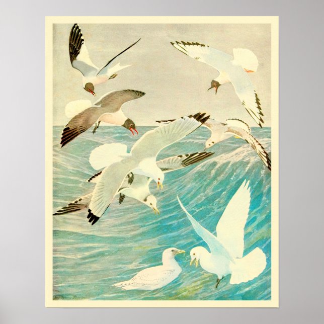 Poster Vintage Seagulhas e Ondas Oceânicas (Frente)
