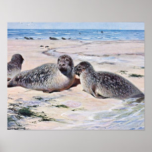 Póster Vintage Seals on Beach Art