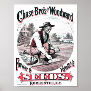 Poster Vintage Seed Advertisement