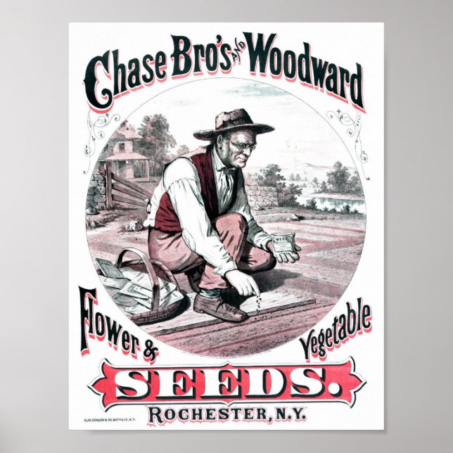 Poster Vintage Seed Advertisement (Frente)