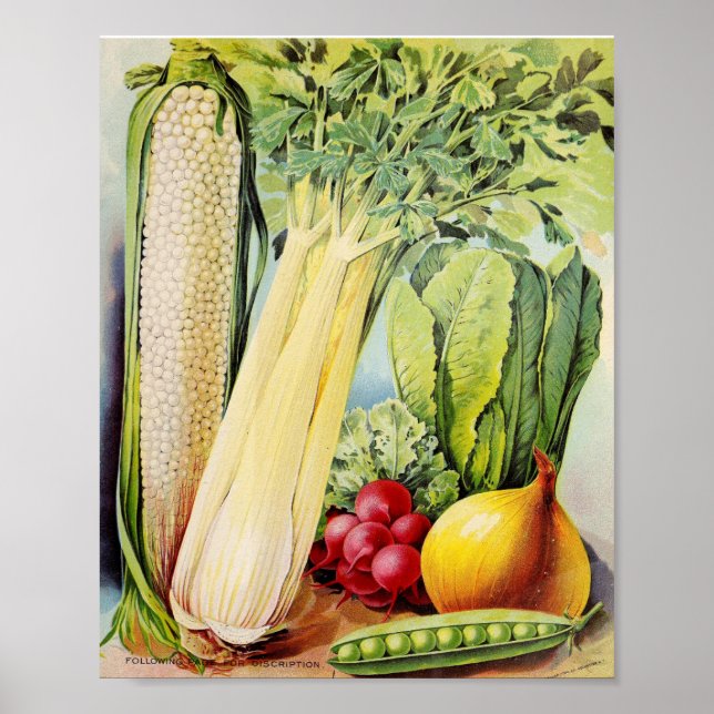 Poster Vintage Seed Advertisement (Frente)