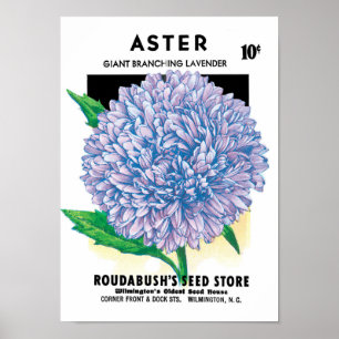 Póster Vintage Seed Packet Art, Purple Aster Flowers