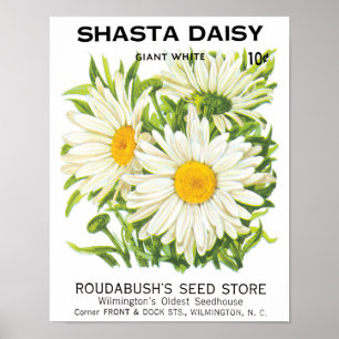 Poster Vintage Seed Packet Art, Shasta Daisy Flowers