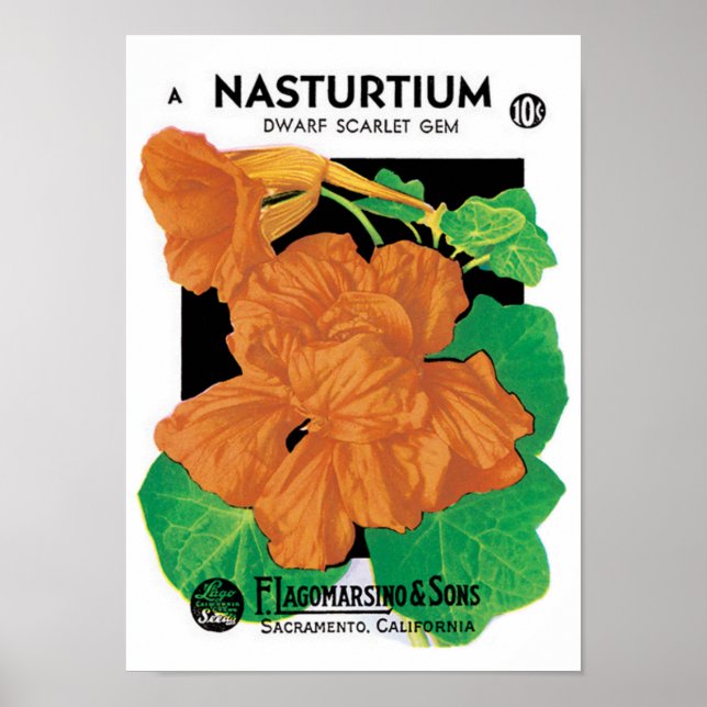 Poster Vintage Seed Packet Label Art, Nasturtium Flowers (Frente)